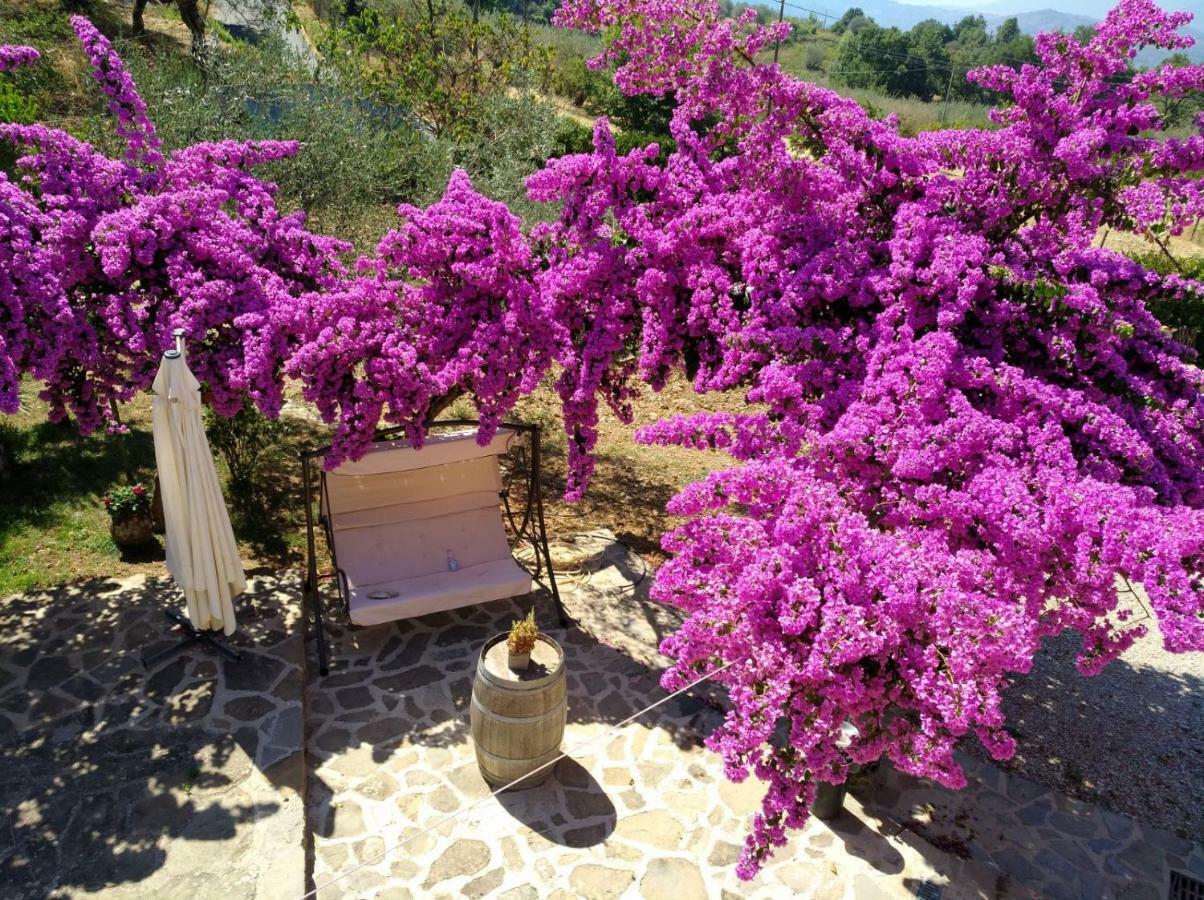 Agriturismo Il Marchese Aquara Exterior photo